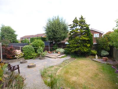Picture 21